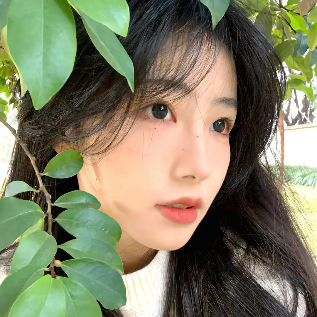 迷恋荷尔蒙